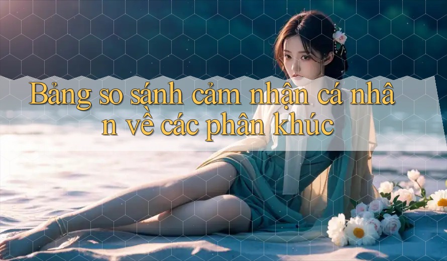 Bảng so sánh cảm nhận cá nhân về các phân khúc Bảng so sánh cảm nhận cá nhân về các phân khúc