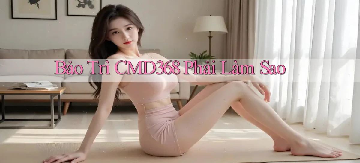 bảo trì cmd368 phải làm sao