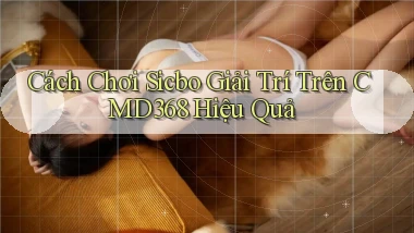 cách chơi sicbo giải trí trên cmd368 hiệu quả
