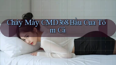 cháy máy cmd368 bầu cua tôm cá