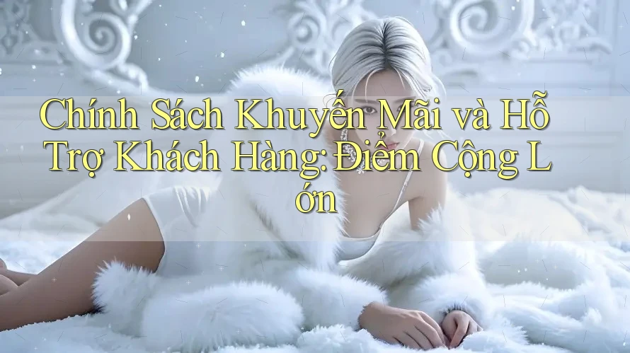 Chính Sách Khuyến Mãi và Hỗ Trợ Khách Hàng: Điểm Cộng Lớn Chính Sách Khuyến Mãi và Hỗ Trợ Khách Hàng: Điểm Cộng Lớn