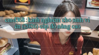 cmd368 kinh nghiệm cho sinh viên (2026) cấp độ nâng cao