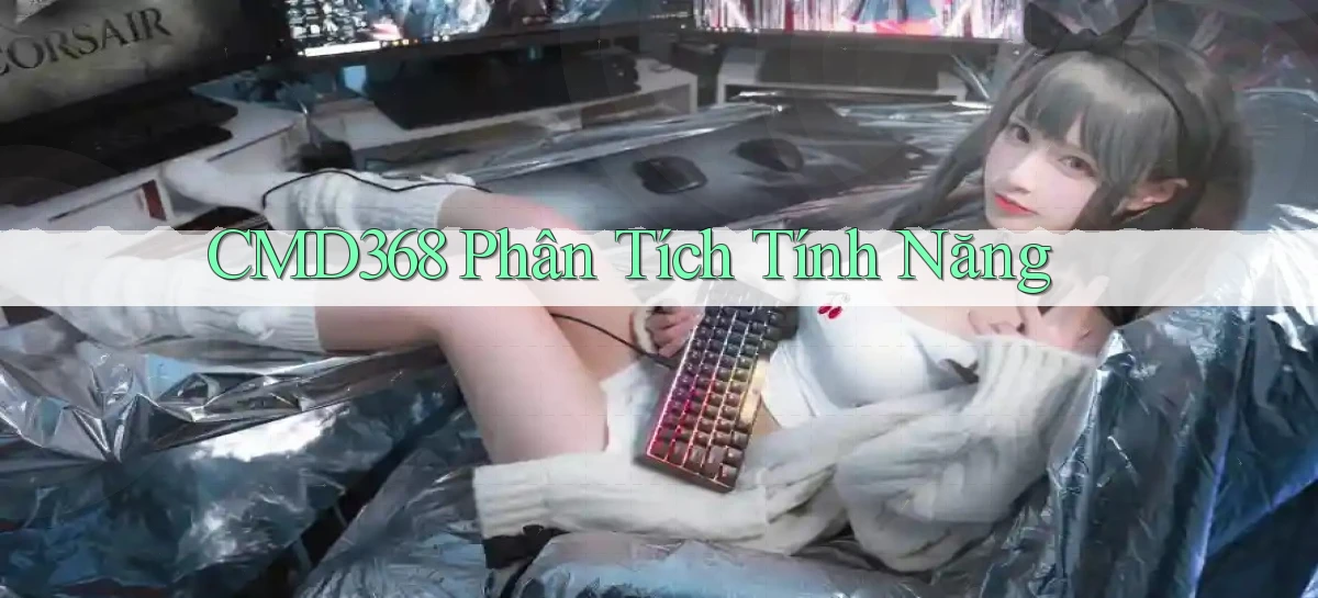 cmd368  phân tích tính năng