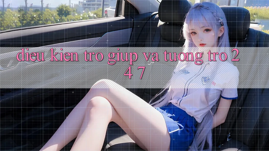 Điều kiện Trợ giúp Và Tương trợ 24/7