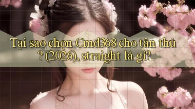 Tại sao chọn Cmd368 cho tân thủ (2026), straight là gì