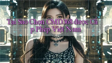 tại sao chọn cmd368 được cấp phép việt nam
