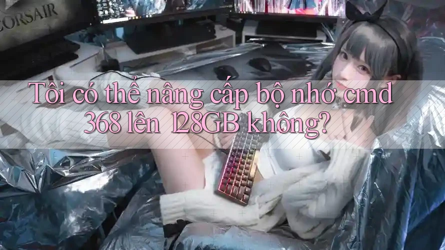 Tôi có thể nâng cấp bộ nhớ cmd368 lên 128GB không?