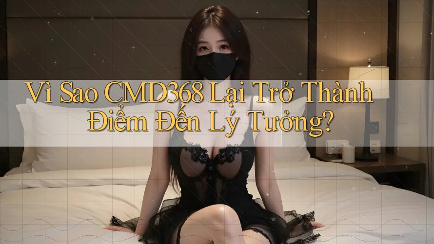 Vì Sao CMD368 Lại Trở Thành Điểm Đến Lý Tưởng?