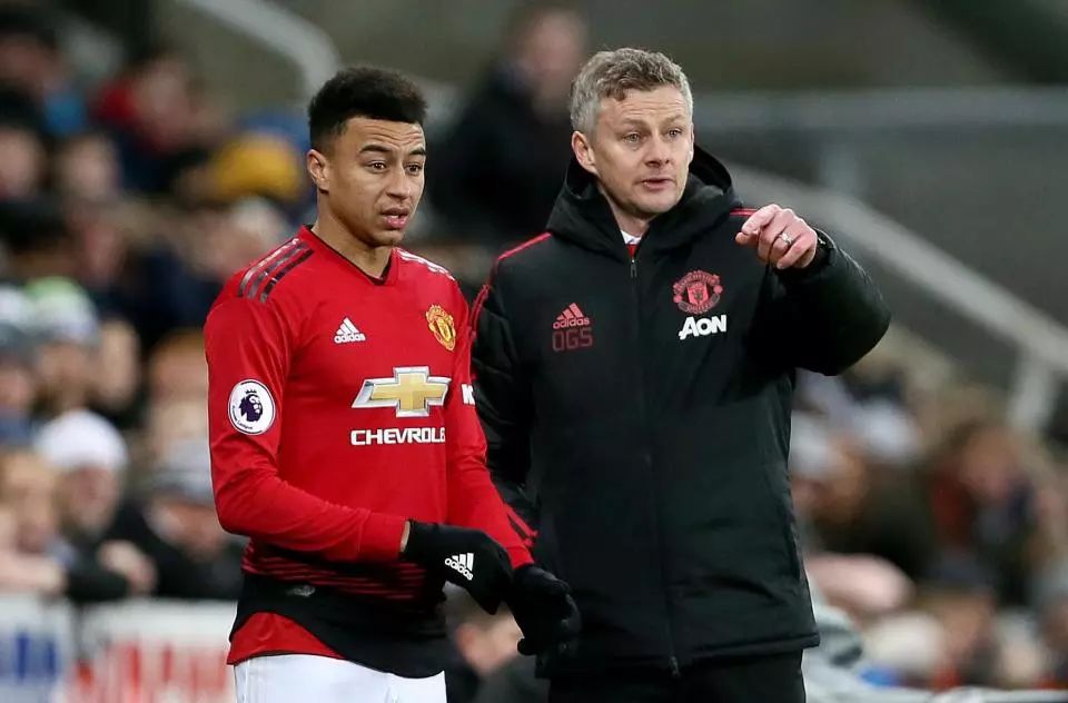 可能与惊喜 可能与惊喜